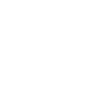 Bloom Studio logo