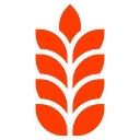 GrainODM logo
