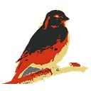Kanaries logo