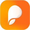 Persuva logo