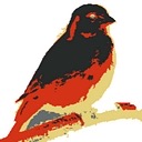 Photes.io logo