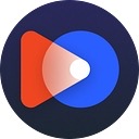 Vidon.ai logo
