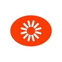 Visual Electric logo